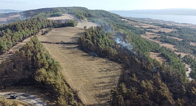 Çanakkale'deki orman yangınında soğutma çalışmaları sürüyor