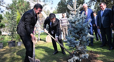 Cumhurbaşkanı Yardımcısı Yılmaz, Milli Ağaçlandırma Günü dolayısıyla fidan dikti