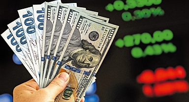 Google'da neler oluyor? Dolar'ı 24 lira gösterdi!