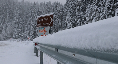Ilgaz Dağı'nda kar kalınlığı 10 santimetreyi geçti