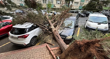 İstanbul'da fırtına ağaçları devirdi, çatılar uçtu