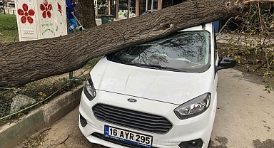 Lodos Bursa'yı perişan etti!