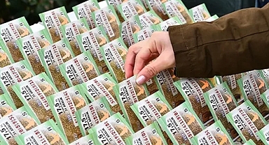 Resmi açıklama geldi: İşte yılbaşında büyük ikramiyenin tutarı