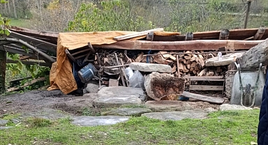 Sinop'ta şiddetli rüzgarda çöken ambarın altında kalan kadın öldü