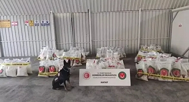 Ticaret Bakanlığı ve MİT göz açtırmadı: Hatay'da 1,2 ton uyuşturucu hap ele geçirildi