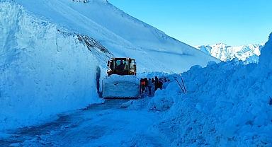 2 Ocak'ta ulaşıma açılıyor: Van- Bahçesaray kara yoluna düşen çığlar temizlendi