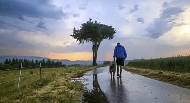 Almanya'da şiddetli yağış hayatı olumsuz etkiliyor