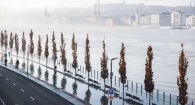 Aşırı yağışlar Tuna Nehri’ni taşırdı