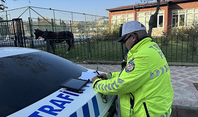 At arabasına koşulu at, 5 araca çarparak hasar oluşturdu