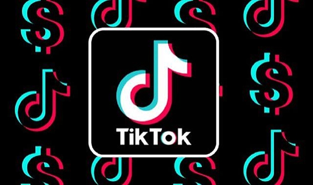 TikTok rezaleti ile ilgili Yerlikaya'dan yeni açıklama: 13 kişi tutuklandı!