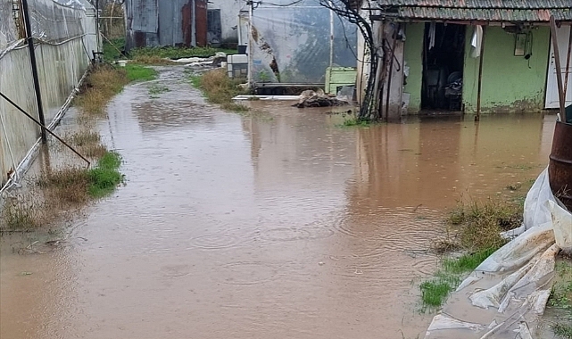 Yalova'da taşan dere nedeniyle bazı sokak ve evleri su bastı