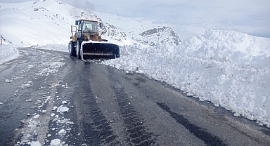 Çığ nedeniyle kapanan Hakkari-Şırnak kara yolu açıldı