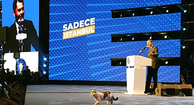 Murat Kurum: Son 5 yıldır eser hasreti olan İstanbul'u ayağa kaldıracağız