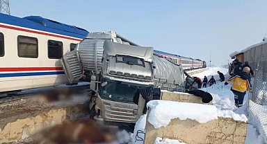 Tren hemzemin geçitte TIR'ı biçti; ölü ve yaralılar var