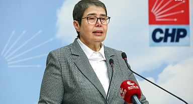 CHP'li Şahbaz'dan sokak hayvanlarıyla ilgili kanun teklifine eleştiri!