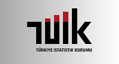 TÜİK: Aylık en yüksek reel getiri BIST 100 endeksinde oldu